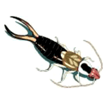 kulağa kaçan ilaçlama